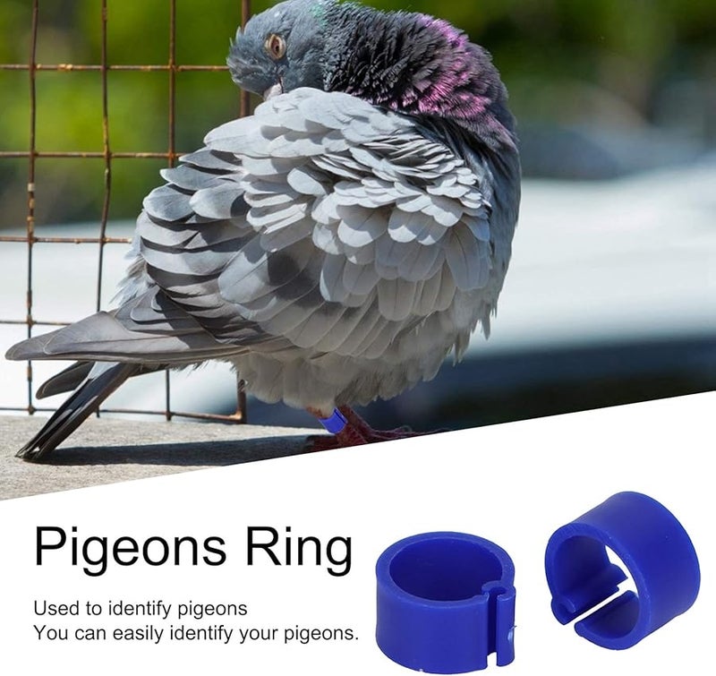 شرائط تحديد أرجل بفتحة 8 مم زرقاء 200 قطعة لمستلزمات الدواجن والطيور والحمام - Image 2